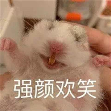 2022萌萌的小老鼠搞笑表情合集 今天我是流泪鼠鼠头 2022萌萌的小老鼠搞笑表情合集 今天我是流泪鼠鼠头