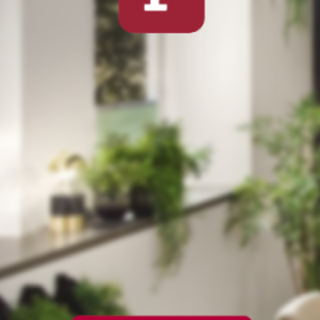 ��������app