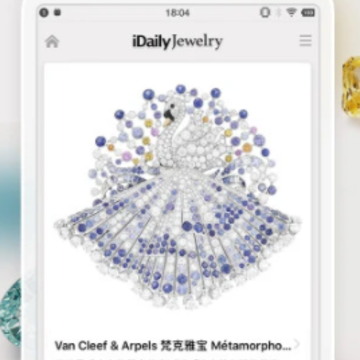 ÿ���鱦��־app