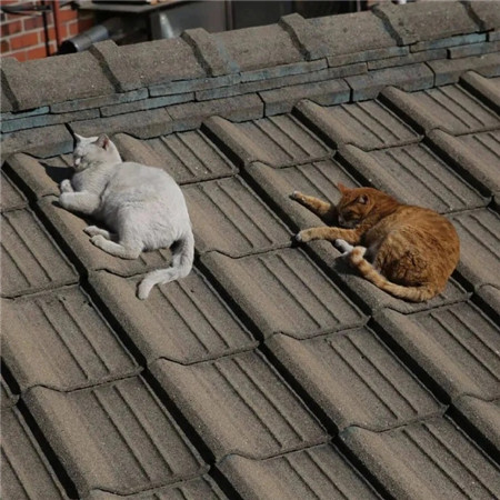 最新微信朋友圈背景图合集 我想和你一起浪费时间