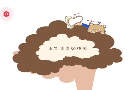 �����ø������app