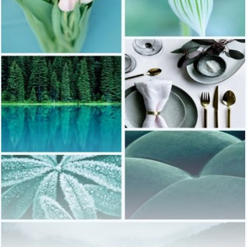 青青草助手app 青青草助手app