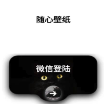 ���ı�ֽapp