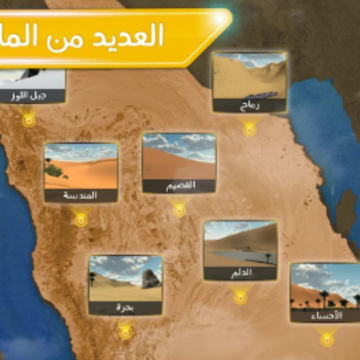 ԽҰɳĮģÄâÆ÷(DesertKing) ԽҰɳĮģÄâÆ÷(DesertKing)