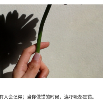 每日精选 每日精选