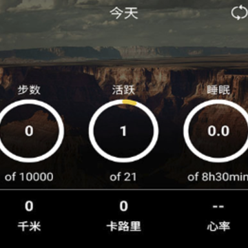 Beespeed app