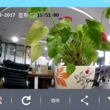 ���ӽ缯�Ű�