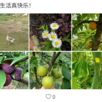 �����ռ�app