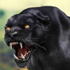 �ڱ�ģ����Cheetah RPG Jungle Simulatorv1.4 ��׿��