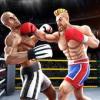 ˫ȭTag Team Boxingv4.8 ׿