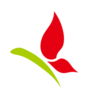 ����У԰appv5.2.2 ��׿��