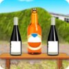 �ռ�ƿ�����Deadly Bottle Shooting Mania Gamev1.3 ��׿��