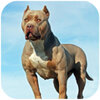 ��ţȮģ����Pitbull Dog Simulatorv1.0.6 ��׿��