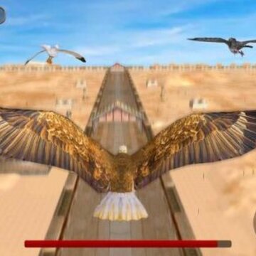 ����ģ����Bird Racing Simulator: Eagle Race Game