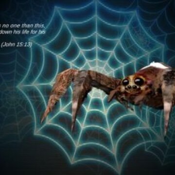 蜘蛛大乱斗SpiderBattles ft. GagamGirl 蜘蛛大乱斗SpiderBattles ft. GagamGirl