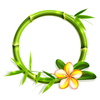 ʶ����appv1.1 ��׿��
