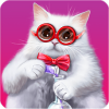 ɰèϷ(Ramble Cats)v1.01.100 ׿
