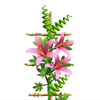 ���ܴ�ʦ(Vine Master)v0.1 ��׿��