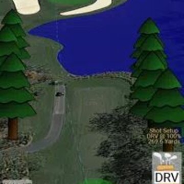 ʵ���߶���RealView Golf