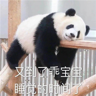 ���°�Ц���˵�qqȤζ���� �ֵ��˹Ա���˯����ʱ����