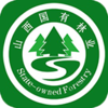 �ǻ۵���ϵͳƽ̨v1.0.4 ��׿��