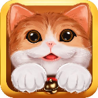 小猫咪历险记游戏v2.1.11b 中文版