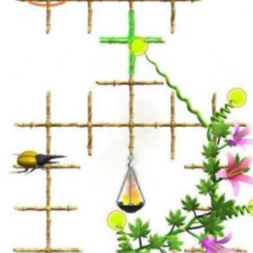 花架大师(Vine Master) 花架大师(Vine Master)