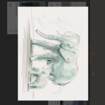 image.png image.png