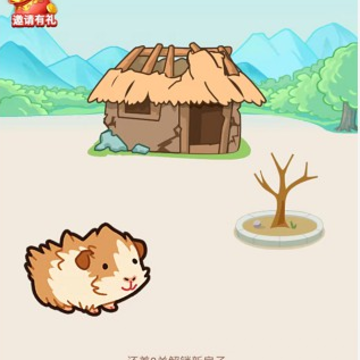 赏金达人红包版 赏金达人红包版