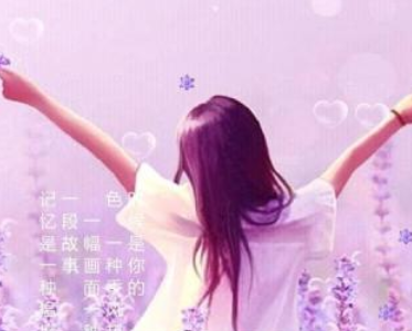 薰衣草等爱情锁屏动态壁纸下载 薰衣草等爱情锁屏动态壁纸下载