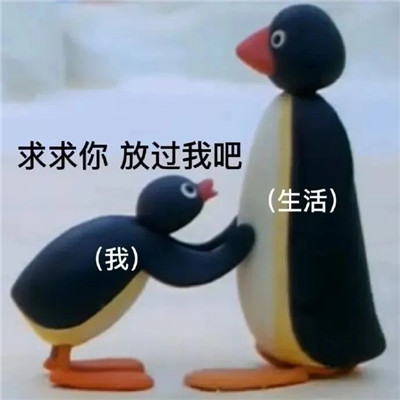 2022全新很有趣的小企鹅聊天表情大全-离殇资源网
