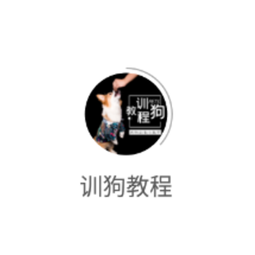 ѵ���̳�app