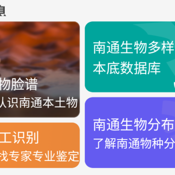 ��ͨ��������app