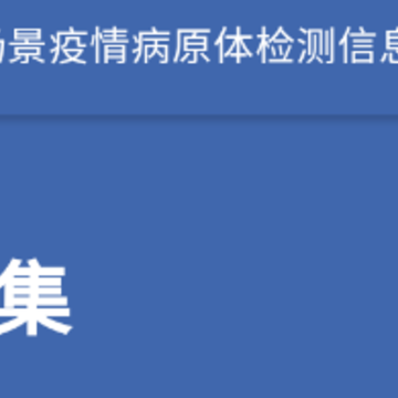 采集-上海app 采集-上海app