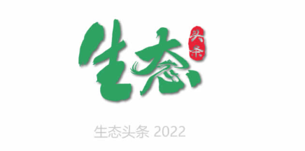 生态头条客户端 生态头条客户端