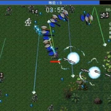�Ҵ��߽���(Vampire Survivors Evolved)