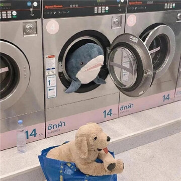 ���������е�΢�ű���ͼ��ȫ �����ҿ��ֵ���������ͻȻ��ʧ