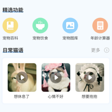 è�佻��������app(��è�䷭����)
