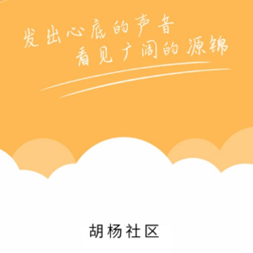 ��������app
