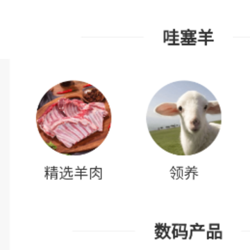 �����ҵ���app