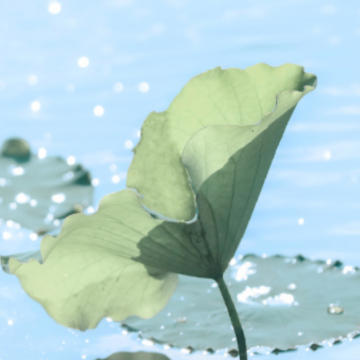 image.png image.png