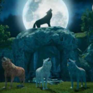 野狼动物模拟器(The Wild Wolf Animal Simulator) 野狼动物模拟器(The Wild Wolf Animal Simulator)