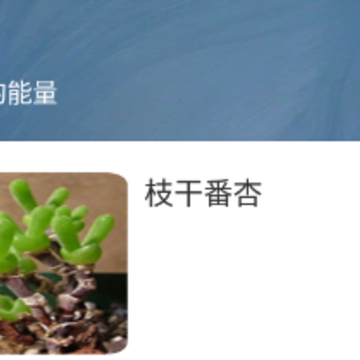 ����ʶ��ʶ��ֲ��app