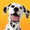 ��������ǹ�ģ��Dalmatian Dog Simulatorv1.1.0 ��׿��