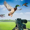 ǹѼDuck Hunting with Gunv4.3 ׿