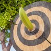ʳ��ѻ���Food Sniperv0.2.6 ��׿��