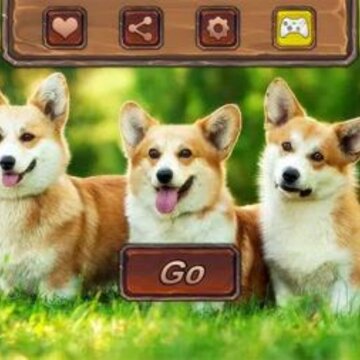 �»�Ȯģ����Corgi Dog Simulator