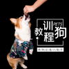 ѵ���̳�appv1.0.0 ��׿��