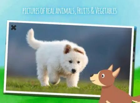 ����Farm animalsv1.3.2 ��׿��