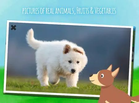 ũ��������Farm animalsv1.3.2 ��׿��